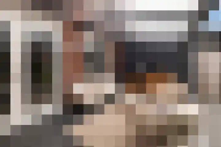 Broodbakkersgilde 31 Dronten thumbnail 24