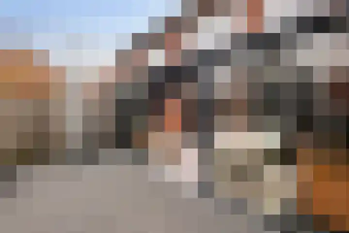 Broodbakkersgilde 31 Dronten thumbnail 25