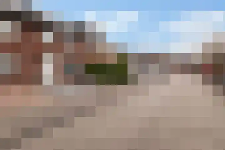 Broodbakkersgilde 31 Dronten thumbnail 27