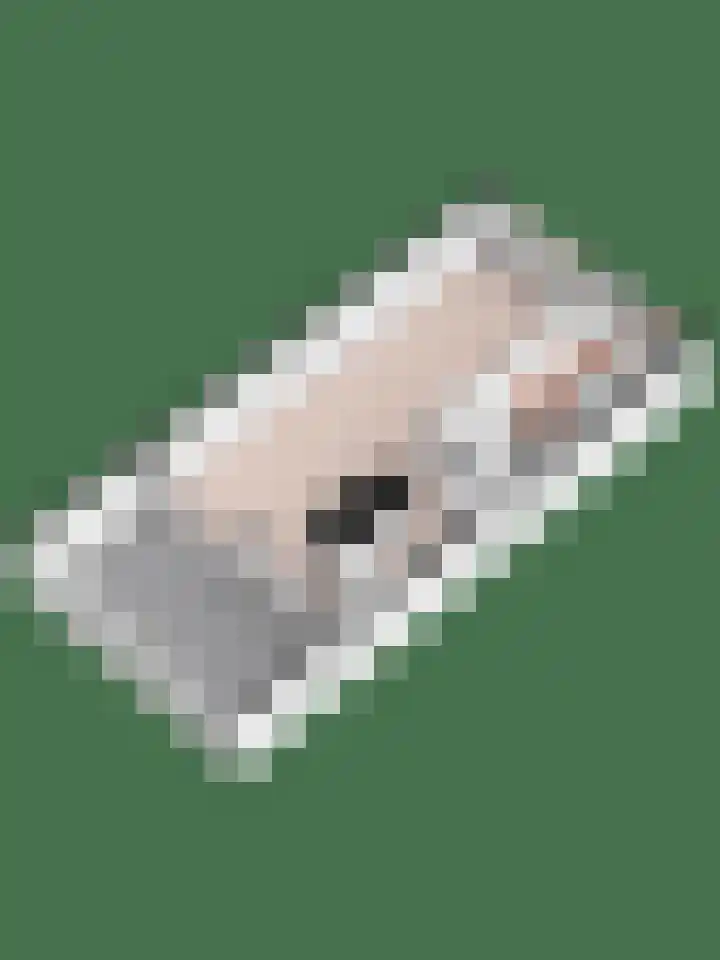 Broodbakkersgilde 31 Dronten thumbnail 35