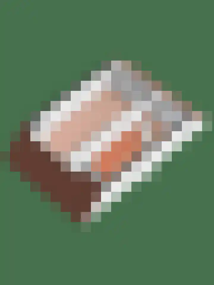 Broodbakkersgilde 31 Dronten thumbnail 37
