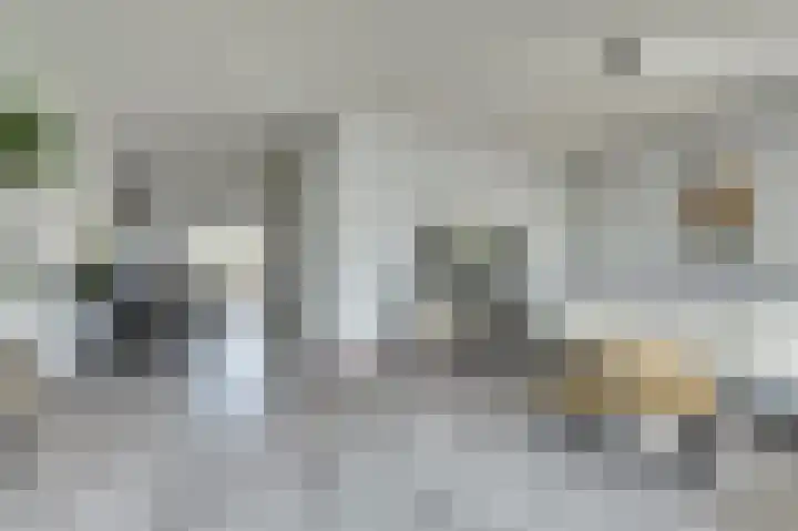 Broodbakkersgilde 33 Dronten thumbnail 10