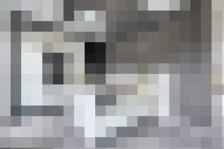 Broodbakkersgilde 33 Dronten thumbnail 13