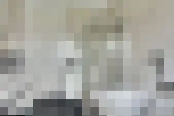 Broodbakkersgilde 33 Dronten thumbnail 26