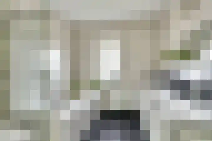 Broodbakkersgilde 33 Dronten thumbnail 4