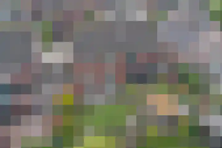 Broodbakkersgilde 33 Dronten thumbnail 42