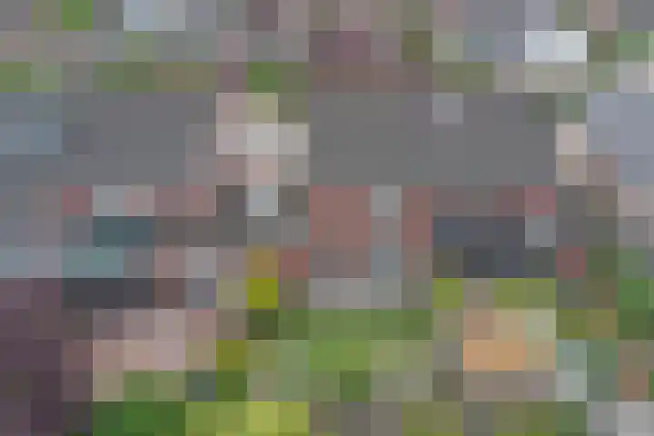 Broodbakkersgilde 33 Dronten thumbnail 43