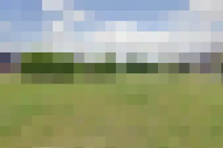 Broodbakkersgilde 33 Dronten thumbnail 46