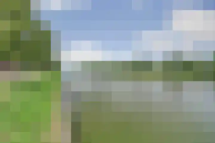 Broodbakkersgilde 33 Dronten thumbnail 47