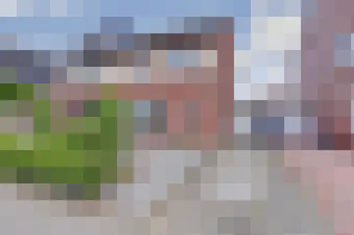 Broodbakkersgilde 33 Dronten thumbnail 5