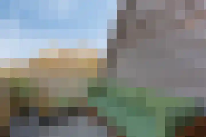 Brouwerij 12 Alkmaar thumbnail 18