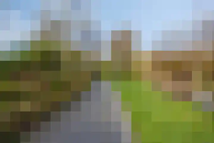 Brouwerij 12 Alkmaar thumbnail 21