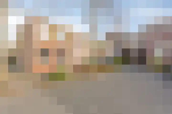Brouwerij 12 Alkmaar thumbnail 22