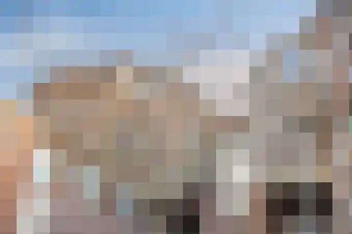 Brouwerij 12 Alkmaar thumbnail 27