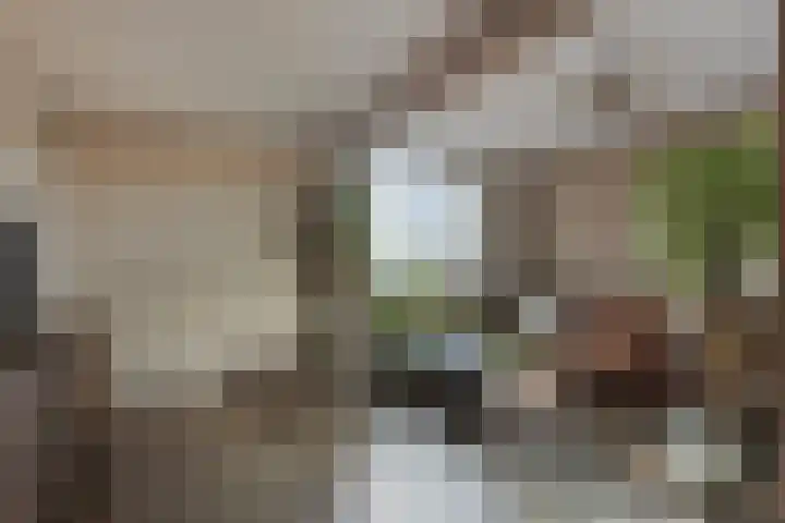 Brouwerij 12 Alkmaar thumbnail 4