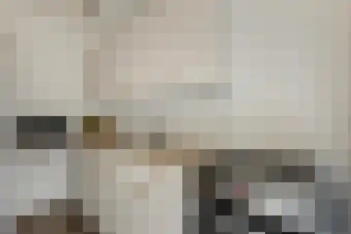 Brouwerij 12 Alkmaar thumbnail 9