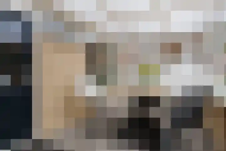 Brouwerij 42 Gorredijk thumbnail 13