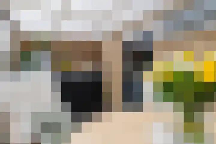 Brouwerij 42 Gorredijk thumbnail 15