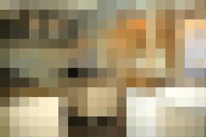 Brouwerijstraat 14 Groede thumbnail 10