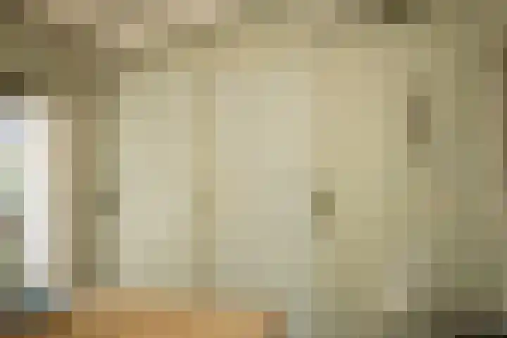 Brouwerijstraat 14 Groede thumbnail 18