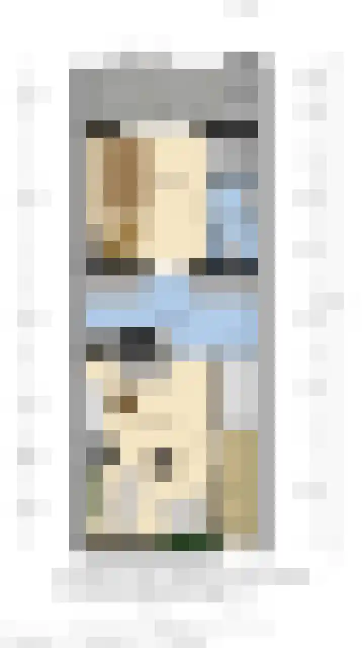 Brouwerijstraat 14 Groede thumbnail 22