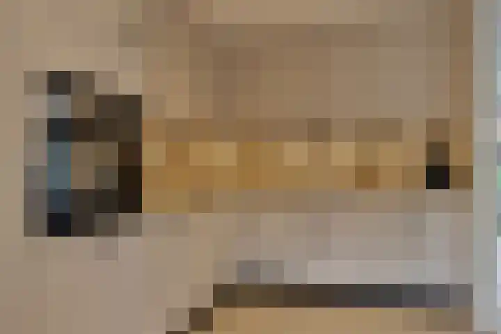 Brouwerijstraat 15 Epe thumbnail 11