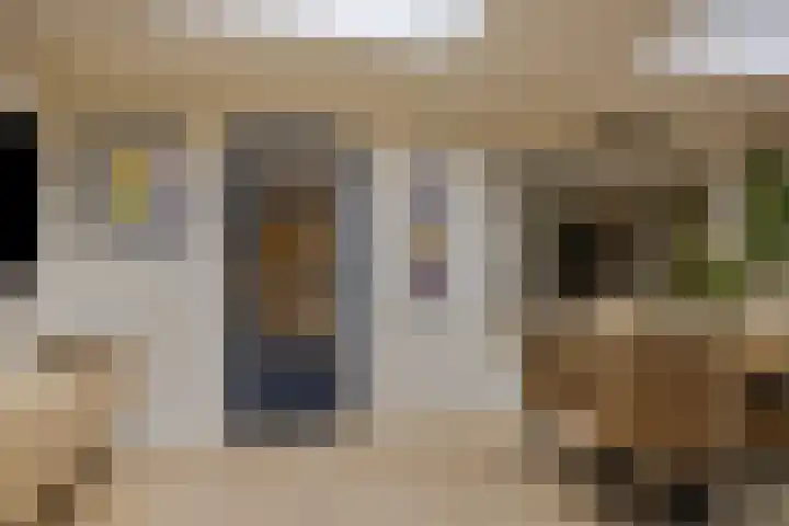Brouwerijstraat 15 Epe thumbnail 15