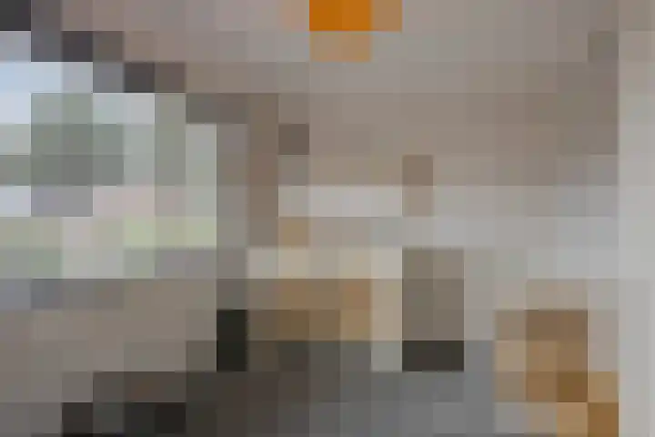 Brouwerijstraat 15 Epe thumbnail 23