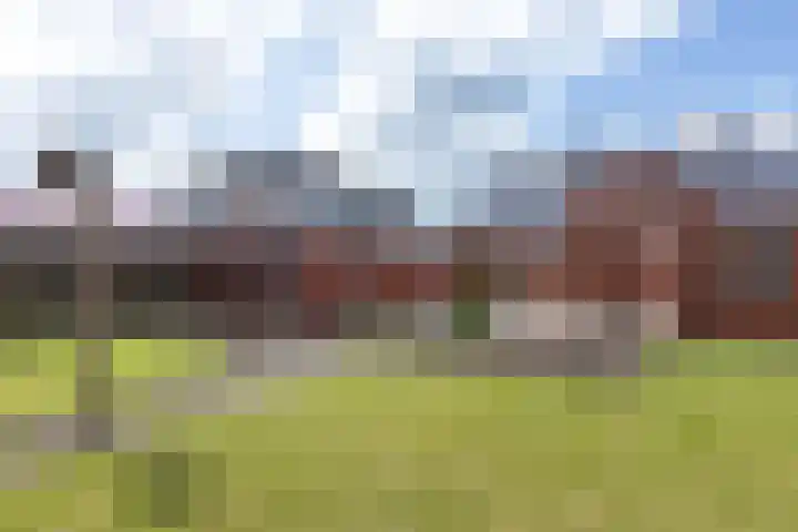 Brouwerijstraat 9 Uithuizen foto 3