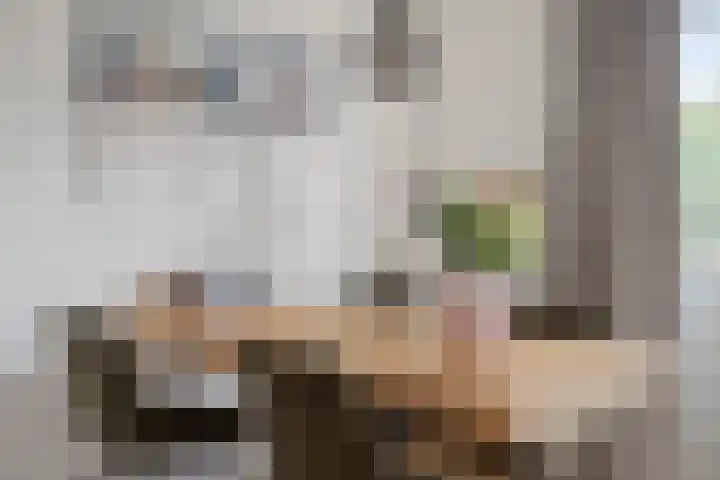 Brouwerijweg 26 Arnhem thumbnail 11