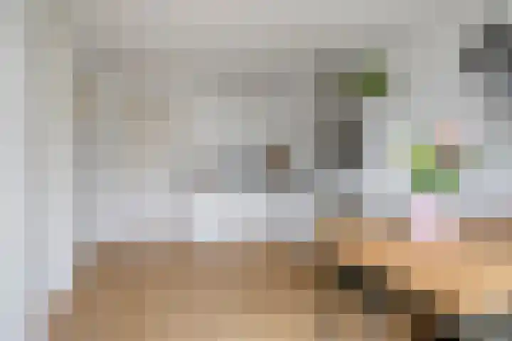 Brouwerijweg 26 Arnhem thumbnail 5