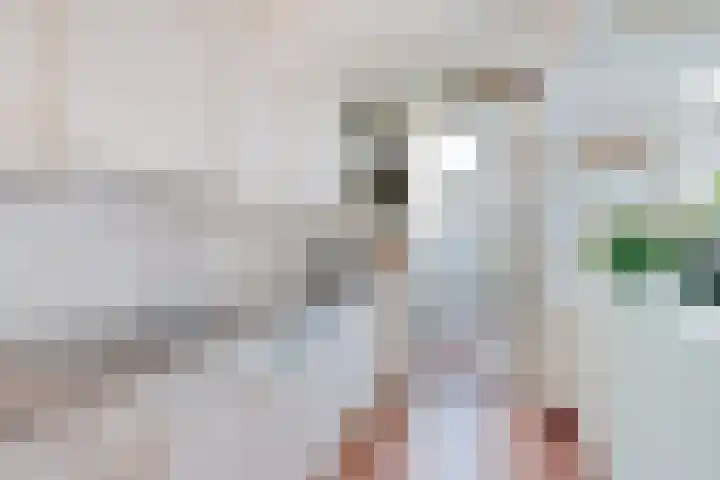 Brouwerlaan 49 Hillegom thumbnail 13