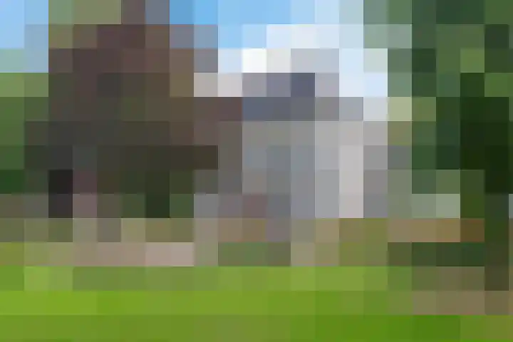 Brouwerlaan 49 Hillegom thumbnail 36