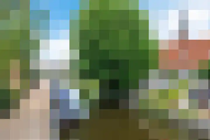 Brouwerlaan 49 Hillegom thumbnail 38