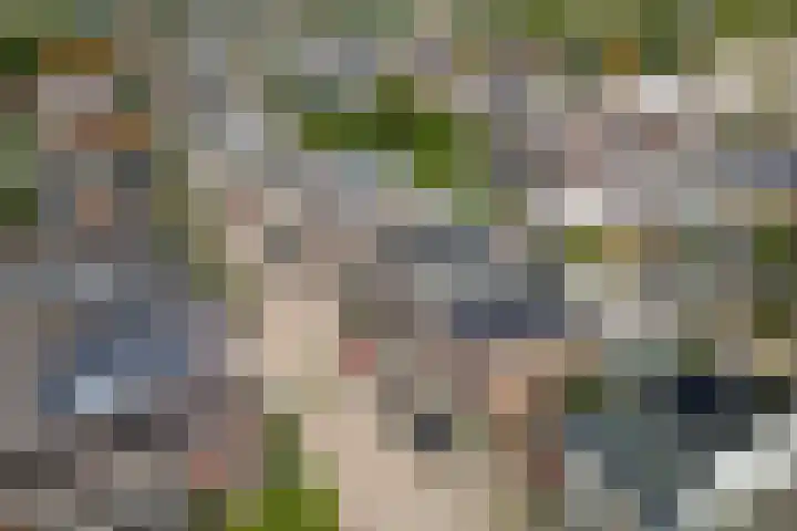 Brouwerlaan 49 Hillegom thumbnail 39