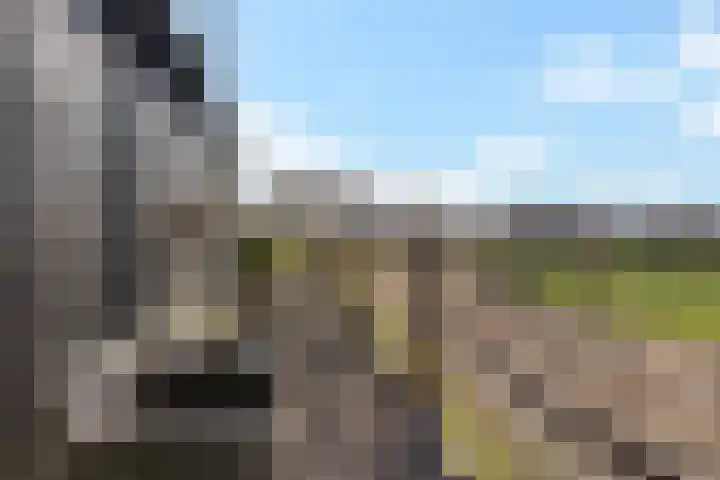 Logo van Brouwers Makelaars