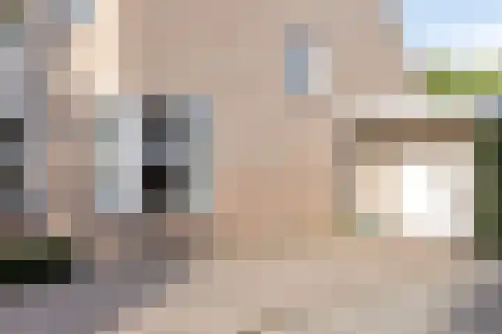 Brouwersbos 78 Cuijk thumbnail 10