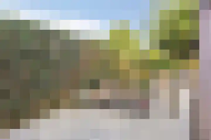 Brouwersbos 78 Cuijk thumbnail 33