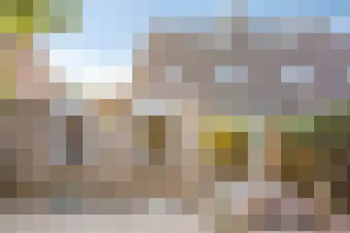 Brouwersbos 78 Cuijk thumbnail 36