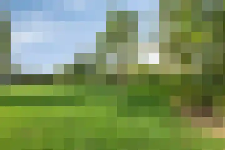 Brouwersbos 78 Cuijk thumbnail 38