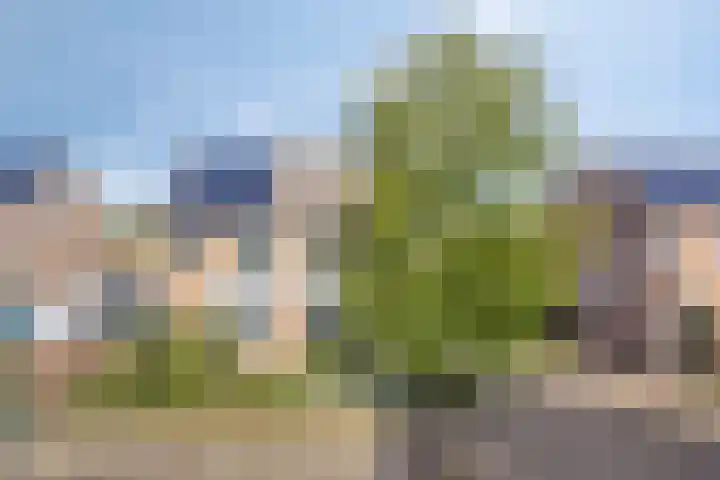 Brouwersbos 78 Cuijk thumbnail 6