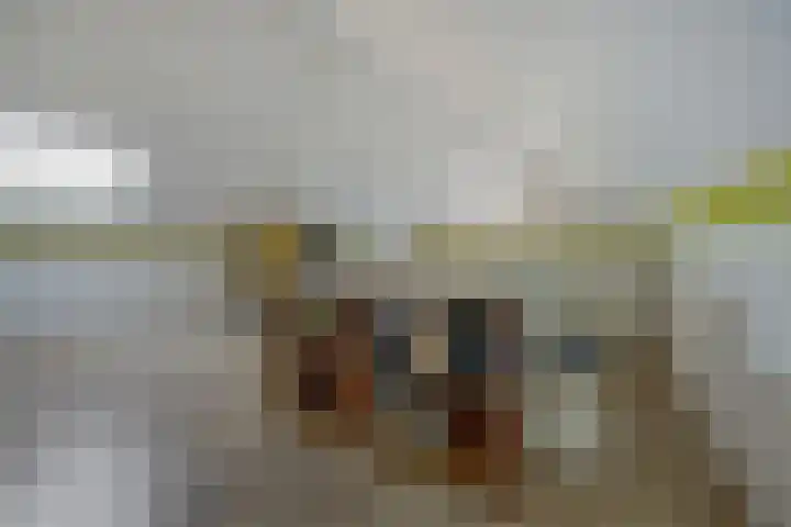 Brouwersgilde 4 Dronten thumbnail 29