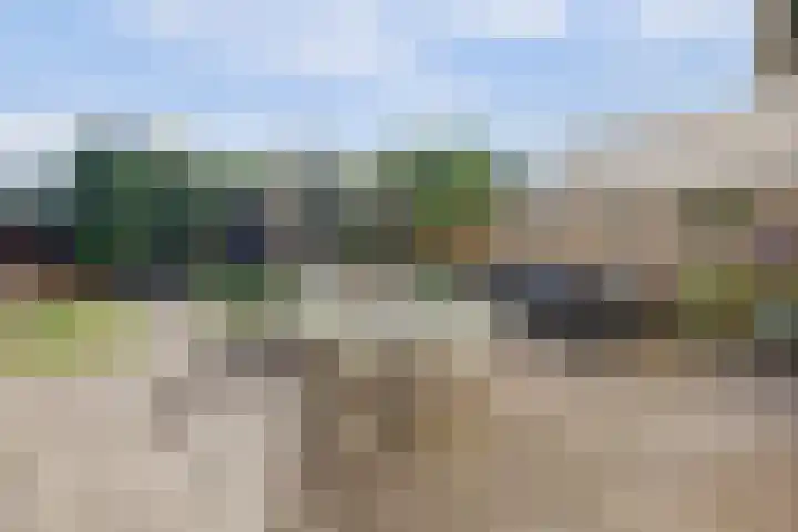 Brouwersgilde 4 Dronten thumbnail 33