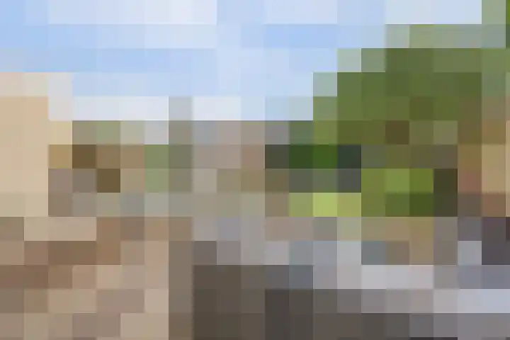 Brouwersgilde 4 Dronten thumbnail 4