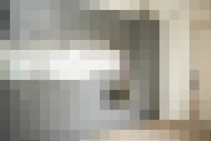 Brouwerskamp 19 Haaften thumbnail 10