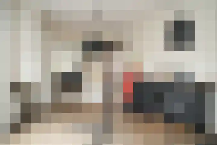 Brouwerskamp 19 Haaften thumbnail 13