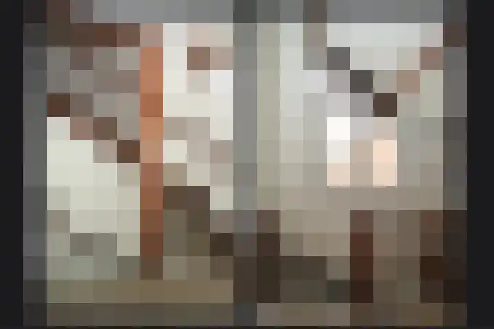 Brouwerskamp 19 Haaften thumbnail 16
