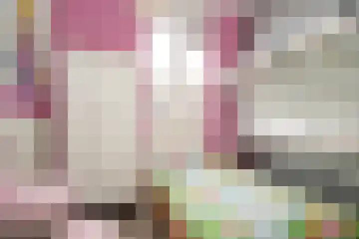 Brouwerskamp 19 Haaften thumbnail 19