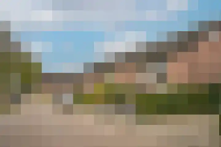 Brouwerskamp 19 Haaften thumbnail 29