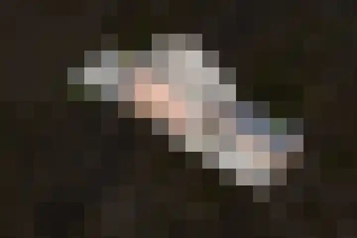 Brouwerskamp 19 Haaften thumbnail 31